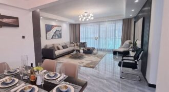 3 AND 4 BEDROOM KILELESHWA